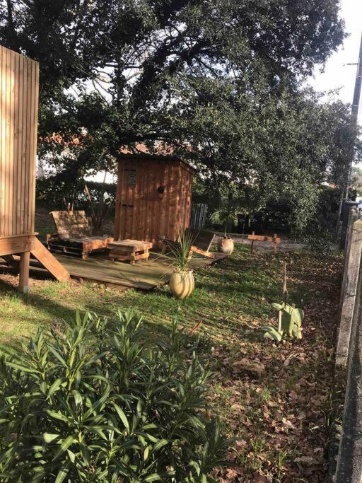 Ma Cabane Sous Les Arbres Soulac-sur-Mer Eksteriør billede