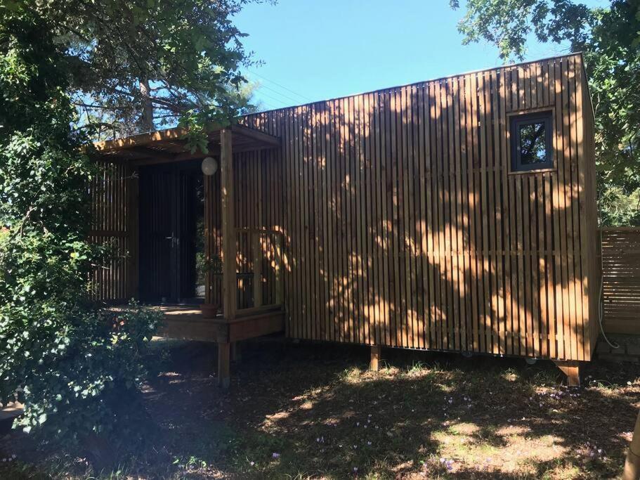 Ma Cabane Sous Les Arbres Soulac-sur-Mer Eksteriør billede