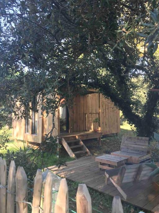Ma Cabane Sous Les Arbres Soulac-sur-Mer Eksteriør billede