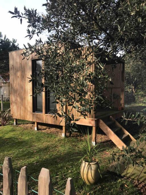 Ma Cabane Sous Les Arbres Soulac-sur-Mer Eksteriør billede