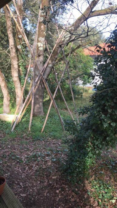 Ma Cabane Sous Les Arbres Soulac-sur-Mer Eksteriør billede