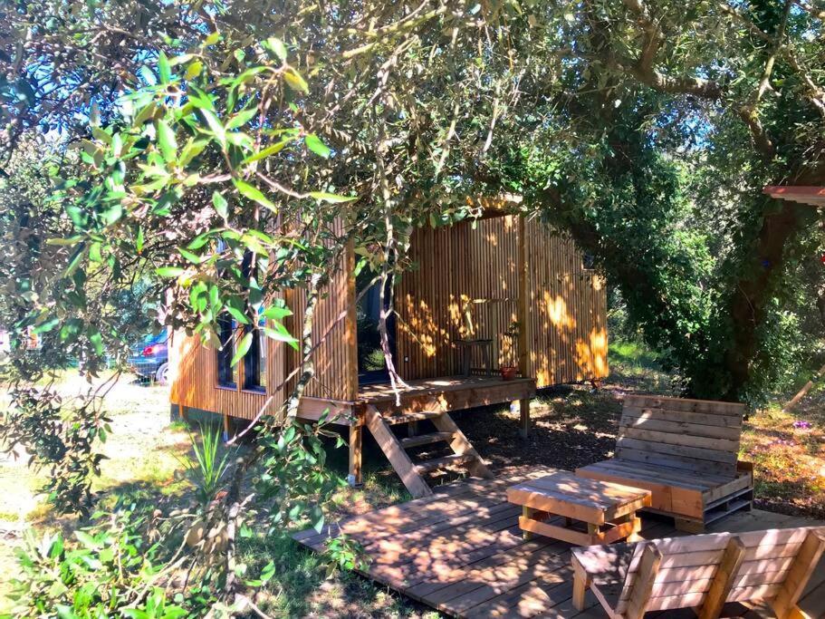 Ma Cabane Sous Les Arbres Soulac-sur-Mer Eksteriør billede