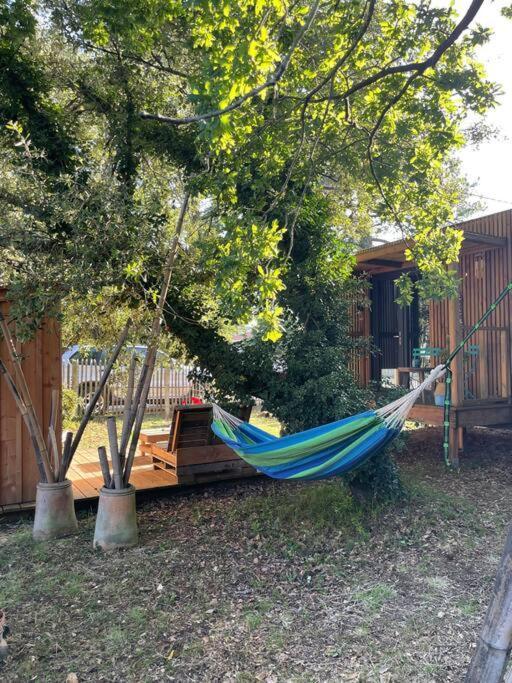 Ma Cabane Sous Les Arbres Soulac-sur-Mer Eksteriør billede